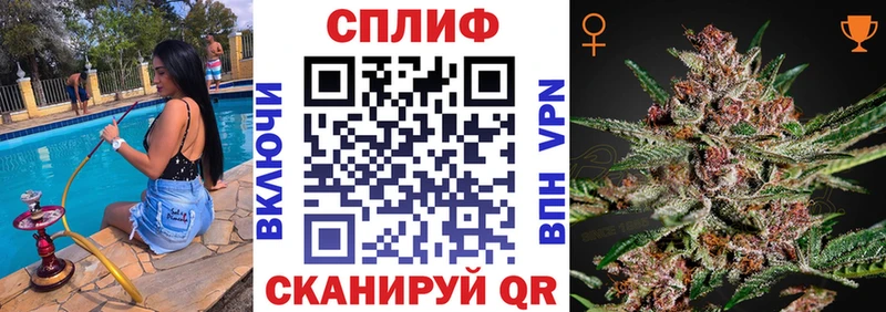 Каннабис White Widow  Абаза 